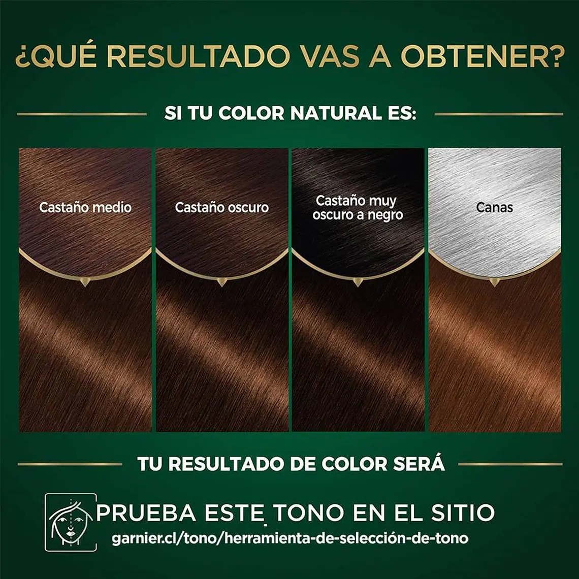 Tintura Nutrisse Oleos Rubio Oscuro Chocolate 6.7 - GARNIER 2