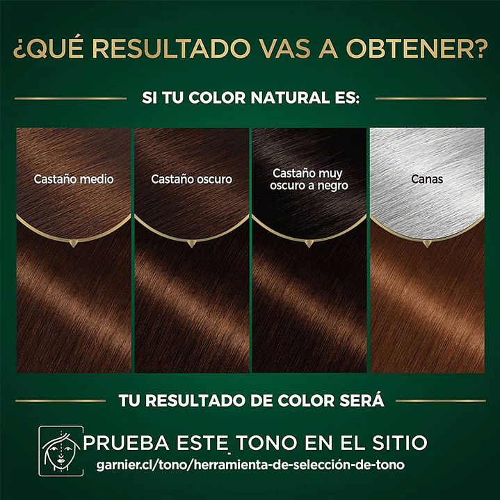 Tintura Nutrisse Oleos Rubio Oscuro Chocolate 6.7 - GARNIER 2