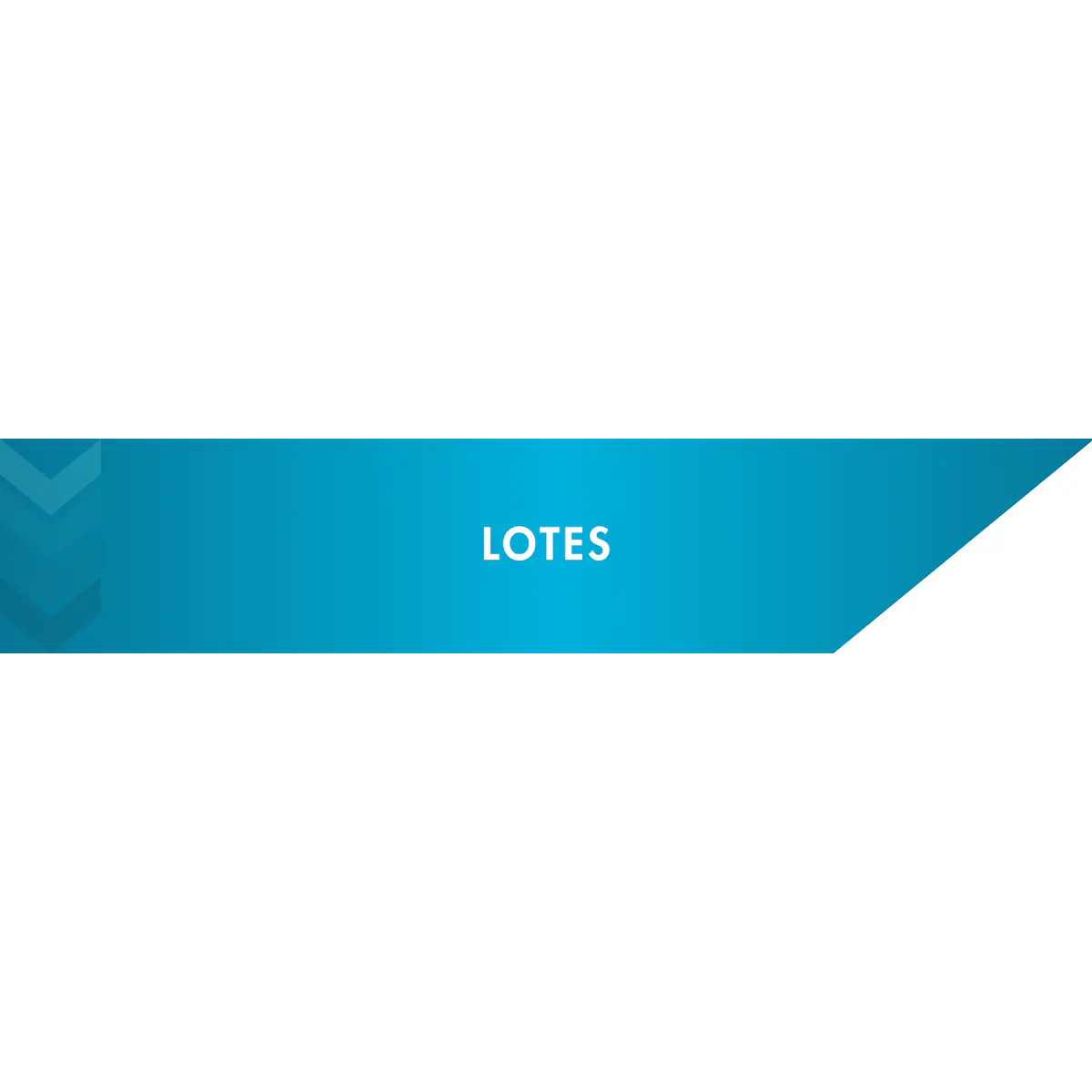 Lotes