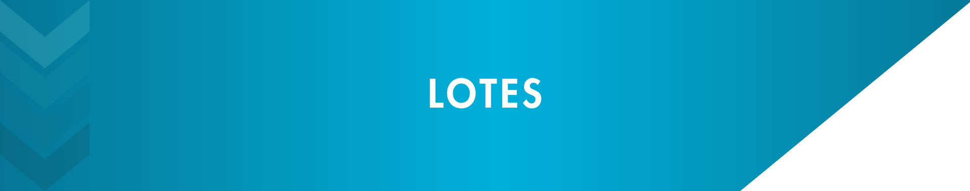 Lotes