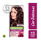 Tintura Cabello - GARNIER 4.15 CASTAÑO CENIZO CAOBA (45 g) - Miniatura 1