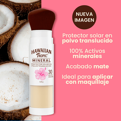 Protector Solar Mineral Brush Polvo Traslucido FPS 30