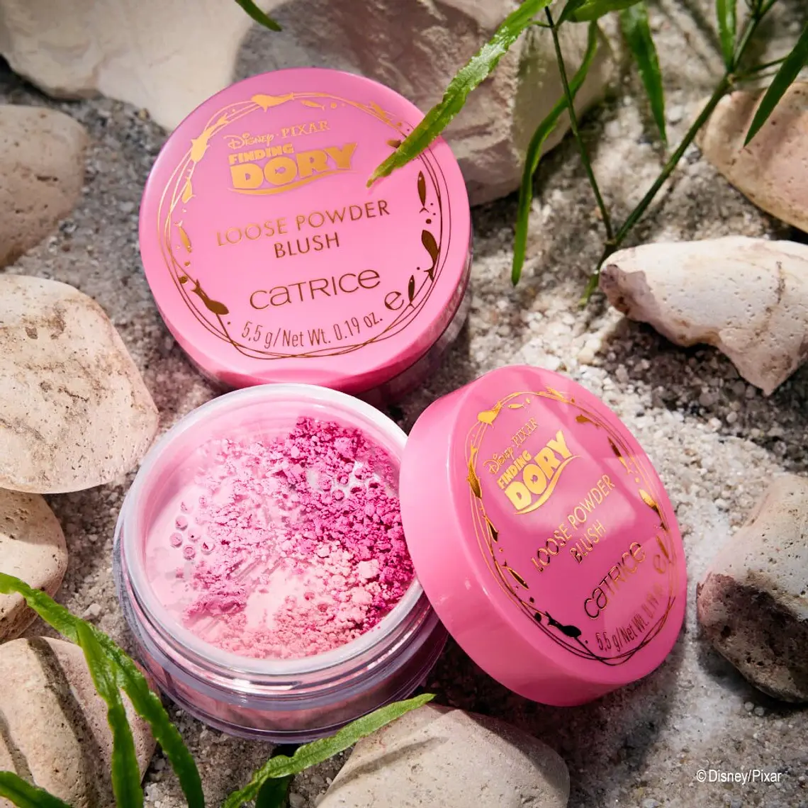 Colorete Polvos Sueltos 010 Reef Reflection Finding Dory De Disney Pixar XCAJA (3 UNIDADES) - CATRICE 5