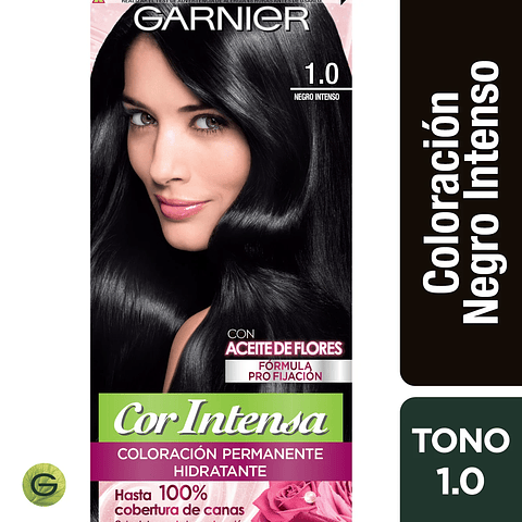 Tintura Cor Intensa Negro Intenso 1.0 45 G - GARNIER