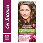 Tintura Cor Intensa Rubio Oscuro 6.0 45 G - GARNIER - Miniatura 1