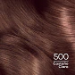 Tintura de Cabello Casting Creme Gloss - LOREAL CASTAÑO CLARO 500 (45 G) - Miniatura 2