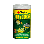Tropical Corydoras granulos