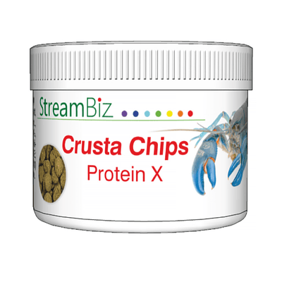 StreamBiz Crusta Chips Protein X - 40 g