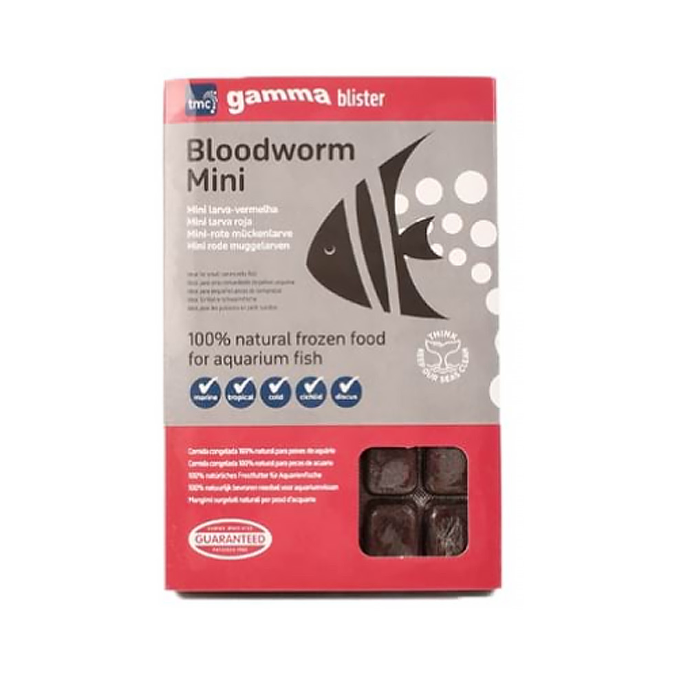 Gamma Bloodworm Mini Blister Pack - 100g