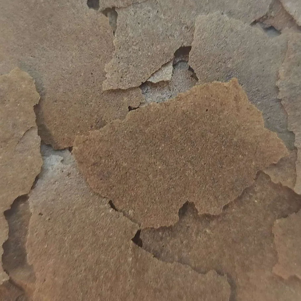 Ocean Nutrition InsectPro Flakes 34g