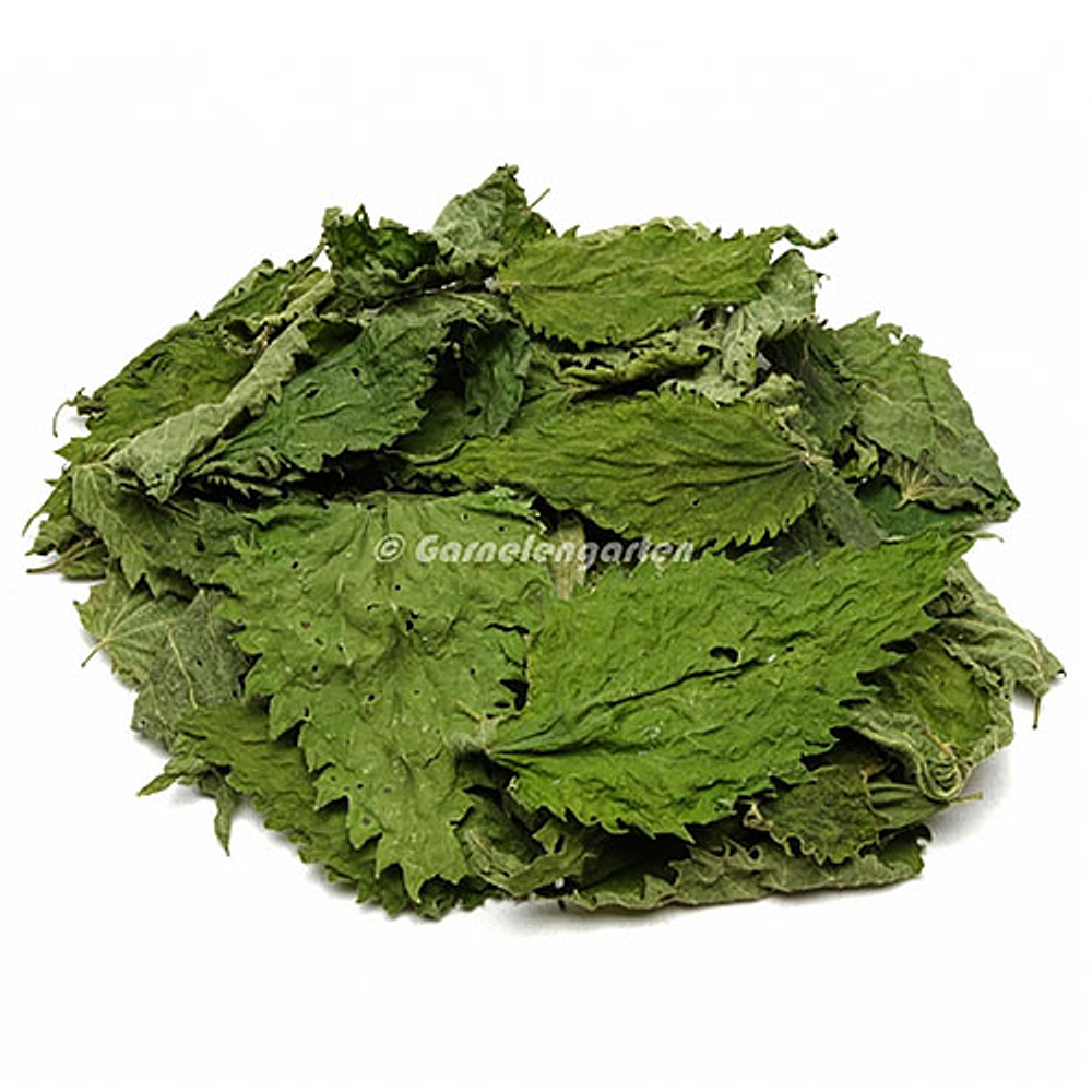 Urtiga desidratada 5g