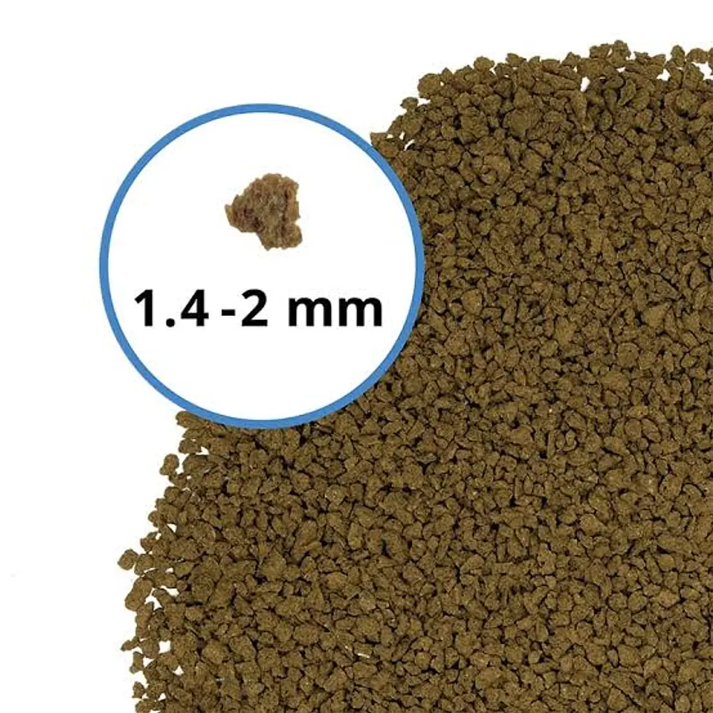 Fluval Bug Bites para peixes de fundo