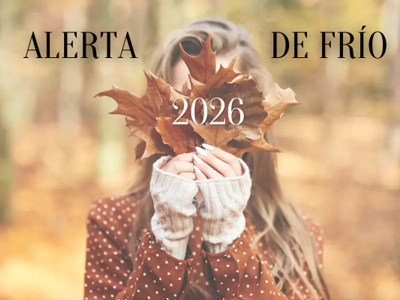 Alerta de Frío Extremo 2026: Por qué tus Chaquetas del año pasado no serán suficientes y cómo Invertir en alta calidad