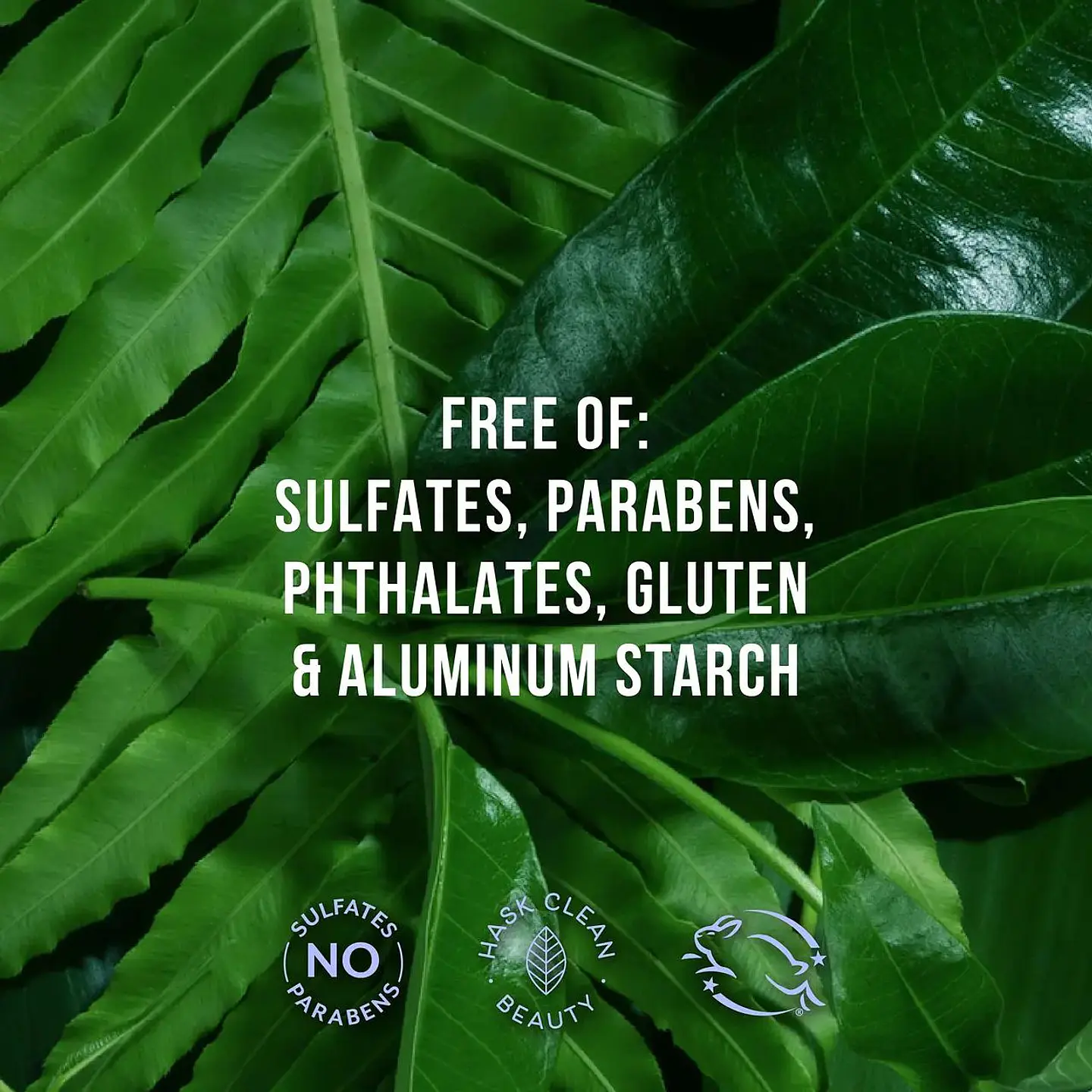 Shampoo + Acondicionador Keratina Smooth Liso Extremo Hask - 355ml  2