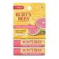 Pack 2x Bálsamo Labial Burt's Bees Pomelo Rosado 8.50 gr - Miniatura 1