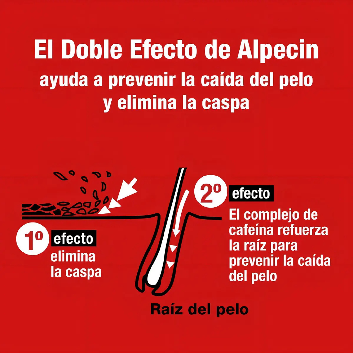 Shampoo Alpecin Contra Caída Cabello Y Caspa Cafeína  2