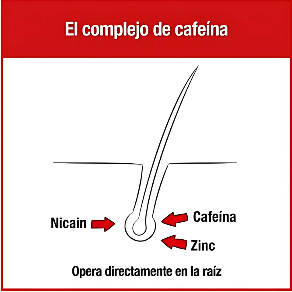 Tonico Anticaída Cafeina Liquida 200ml Alpecin Calvicie 2