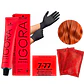Tinte Igora Royal Tintura Cabello+ Oxidante 60ml  - Miniatura 23