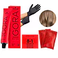 Tinte Igora Royal Tintura Cabello+ Oxidante 60ml  - Miniatura 26