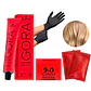 Tinte Igora Royal Tintura Cabello+ Oxidante 60ml  - Miniatura 36