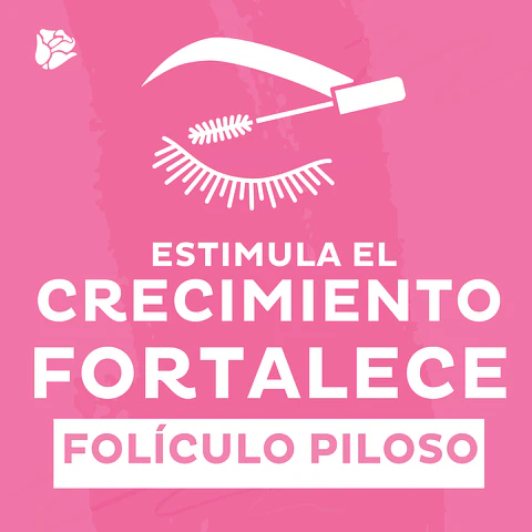 Aceite Crecimeinto Para Pestañas Y Cejas Dolce Bella