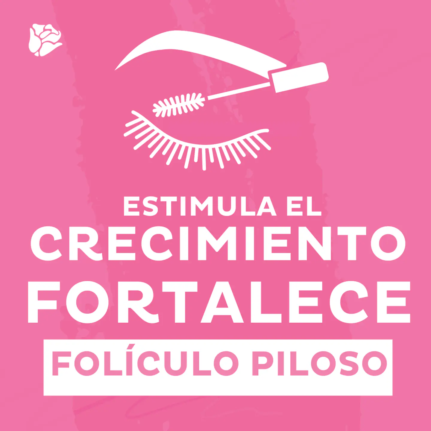 Aceite Crecimeinto Para Pestañas Y Cejas Dolce Bella 2