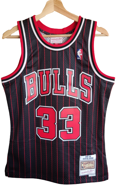 Camiseta NBA Scottie Chicago Bulls