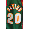 Camiseta NBA Gary Payton HWC Swingman (Seattle SuperSonics 95-96) Original