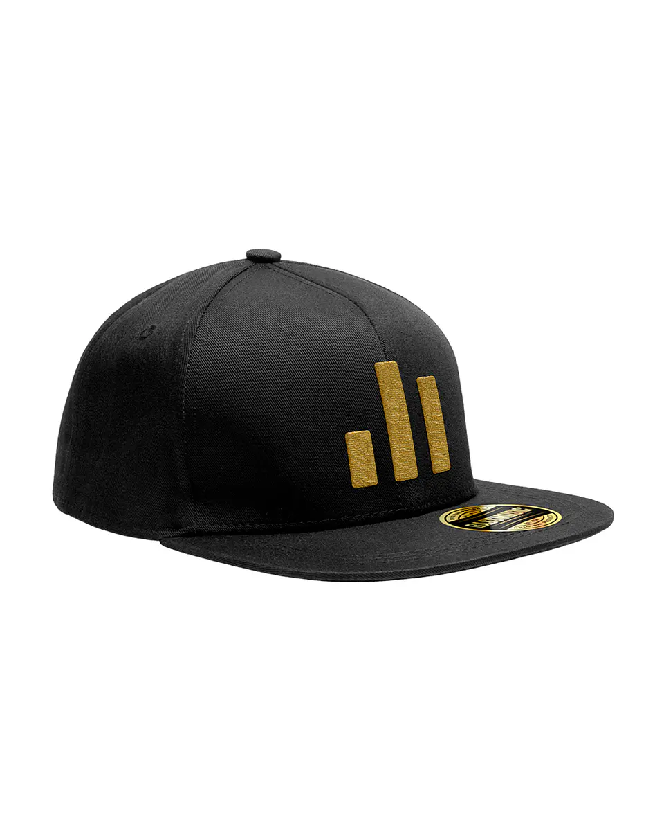 Snapback Bassmusic 10 años 1