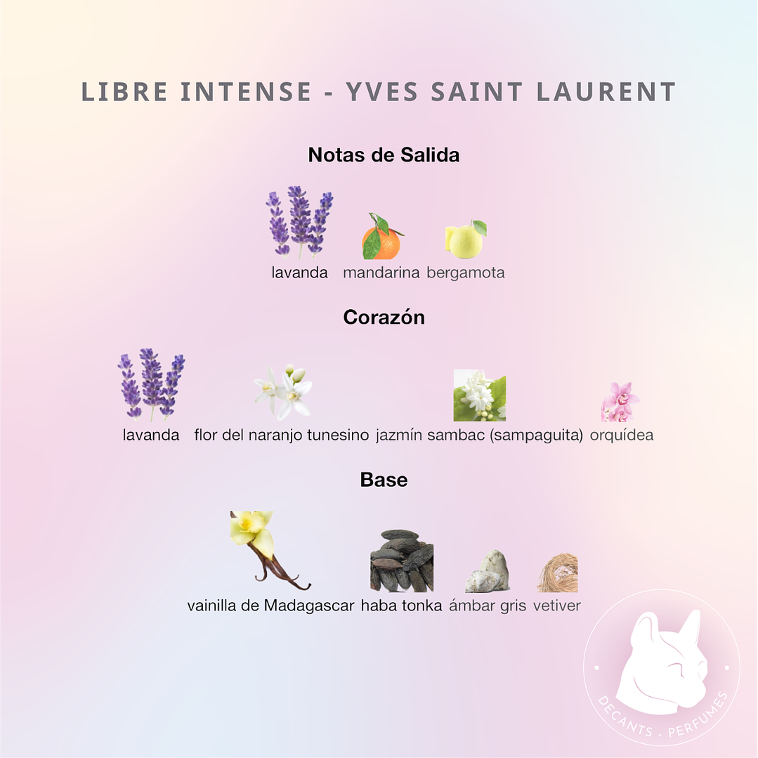 Decant Libre Intense EDP - Yves Saint Laurent 2