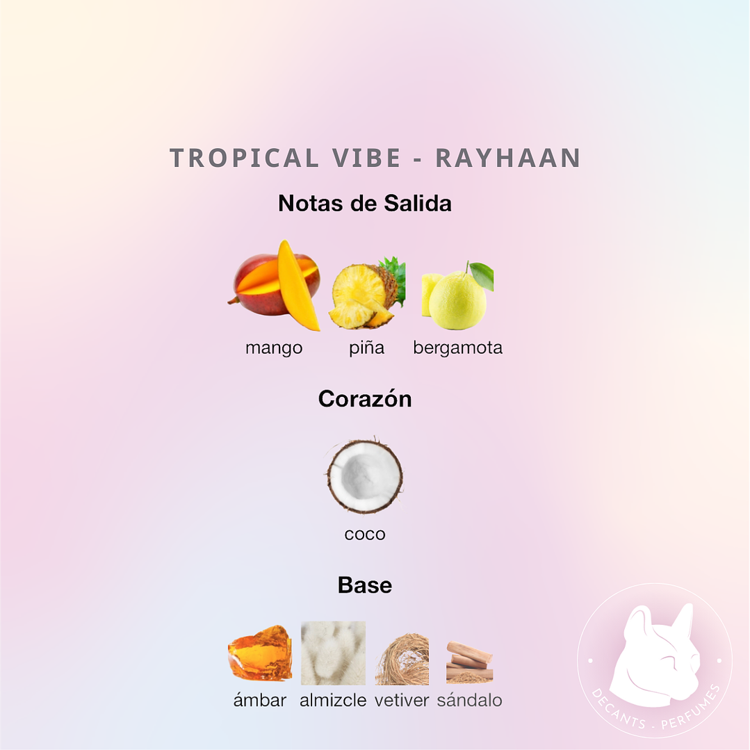 Decant Tropical Vibe - Rayhaan - Unisex 2