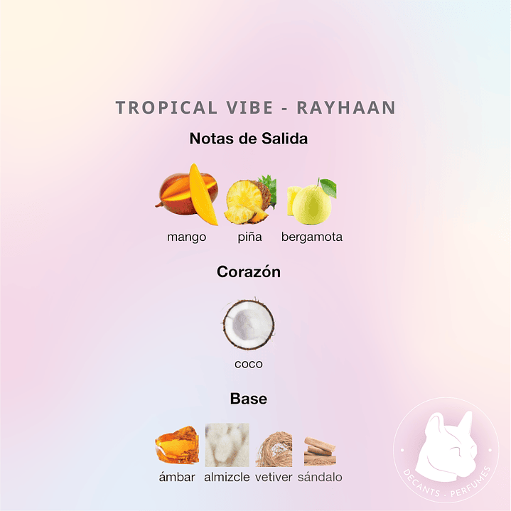 Decant Tropical Vibe - Rayhaan - Unisex 2