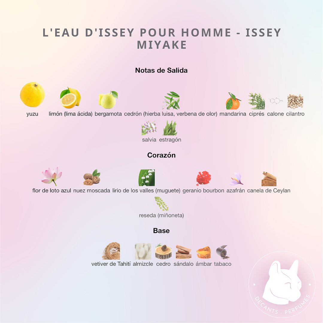 Decant L'Eau d'Issey Pour Homme - Issey Miyake  2