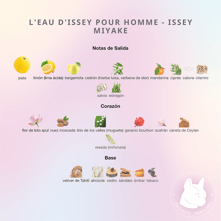 Decant L'Eau d'Issey Pour Homme - Issey Miyake  2