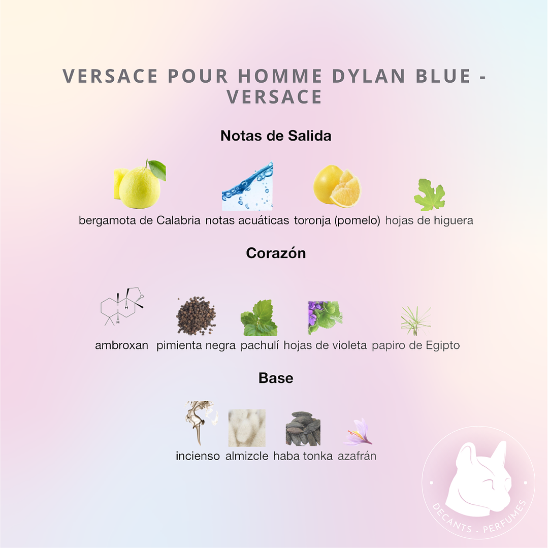 Decant Dylan blue - Versace 2
