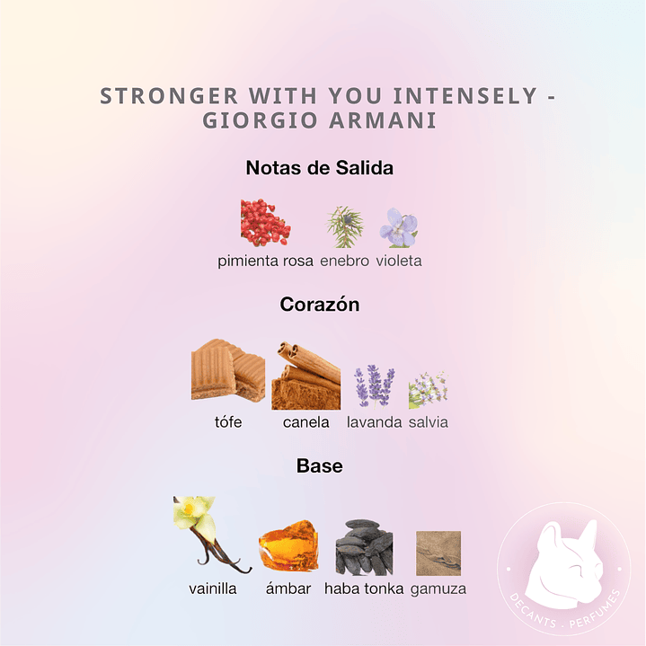 Decant Stronger With You Intensely - Giorgio Armani 2