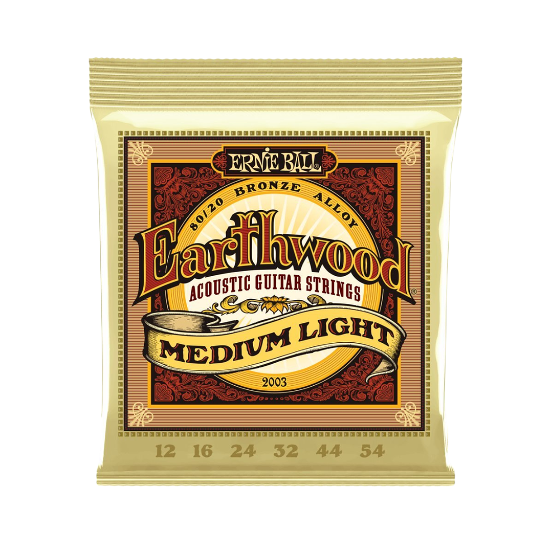 Cuerdas Metálicas Guitarra Ernie Ball Earthwood Bronze 2003 Medium Light 1