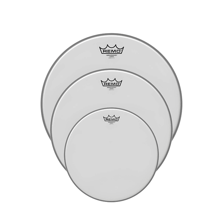 Set Parches Tom Remo Ambassador Coated Poroso Fusion 10, 12 y 14 1