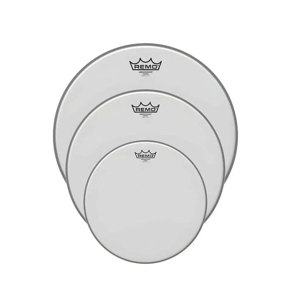 Set Parches Tom Remo Ambassador Coated Poroso Fusion 10, 12 y 14 1
