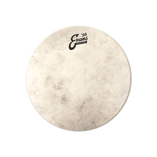 Parche Evans Calftone '56 12