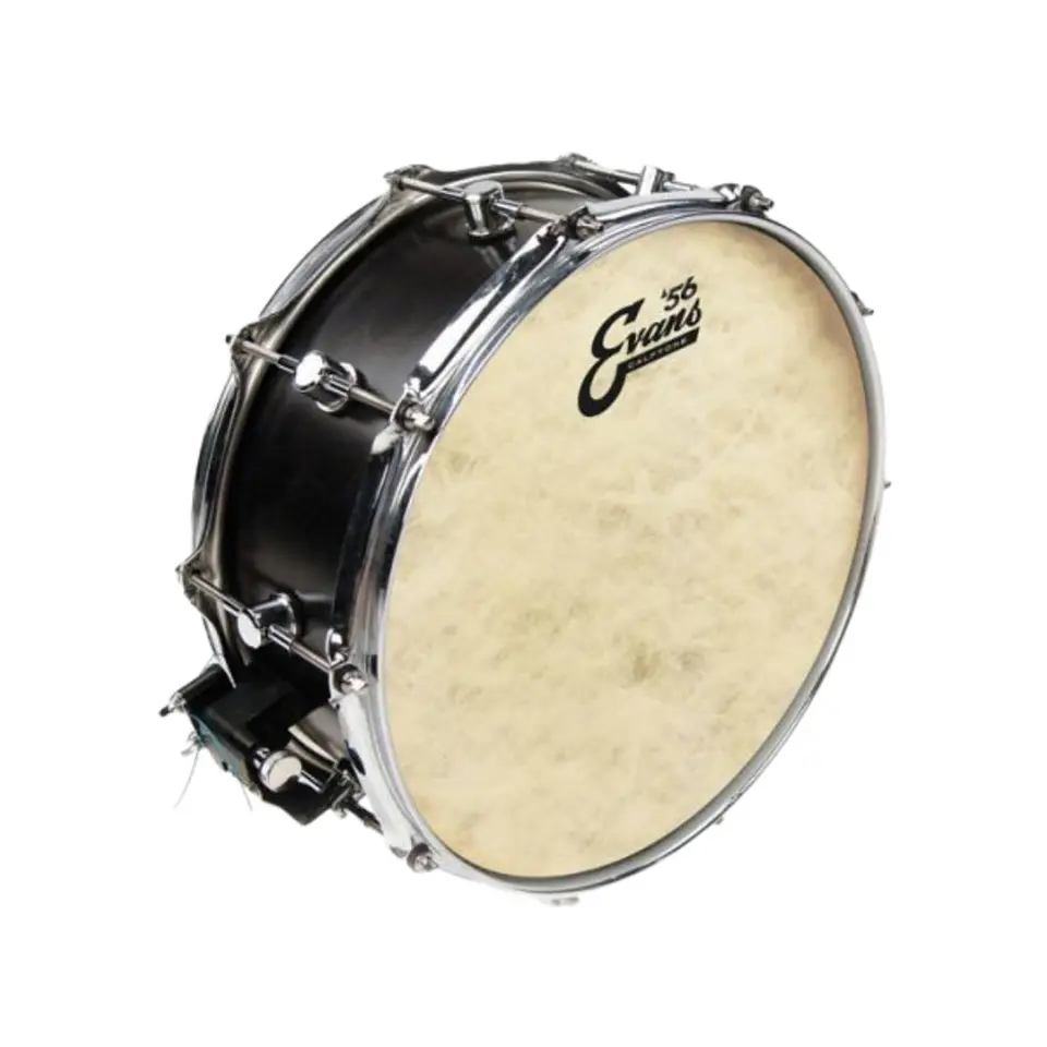 Parche Evans Calftone '56 12 3
