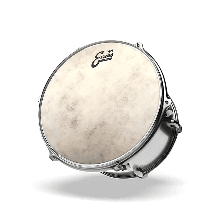 Parche Evans Calftone '56 13 2