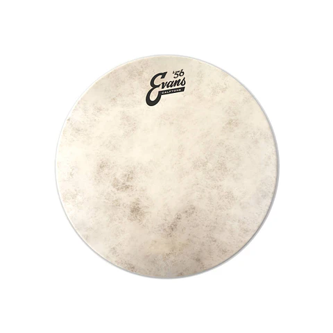 Parche Bombo Evans Calftone '56 20