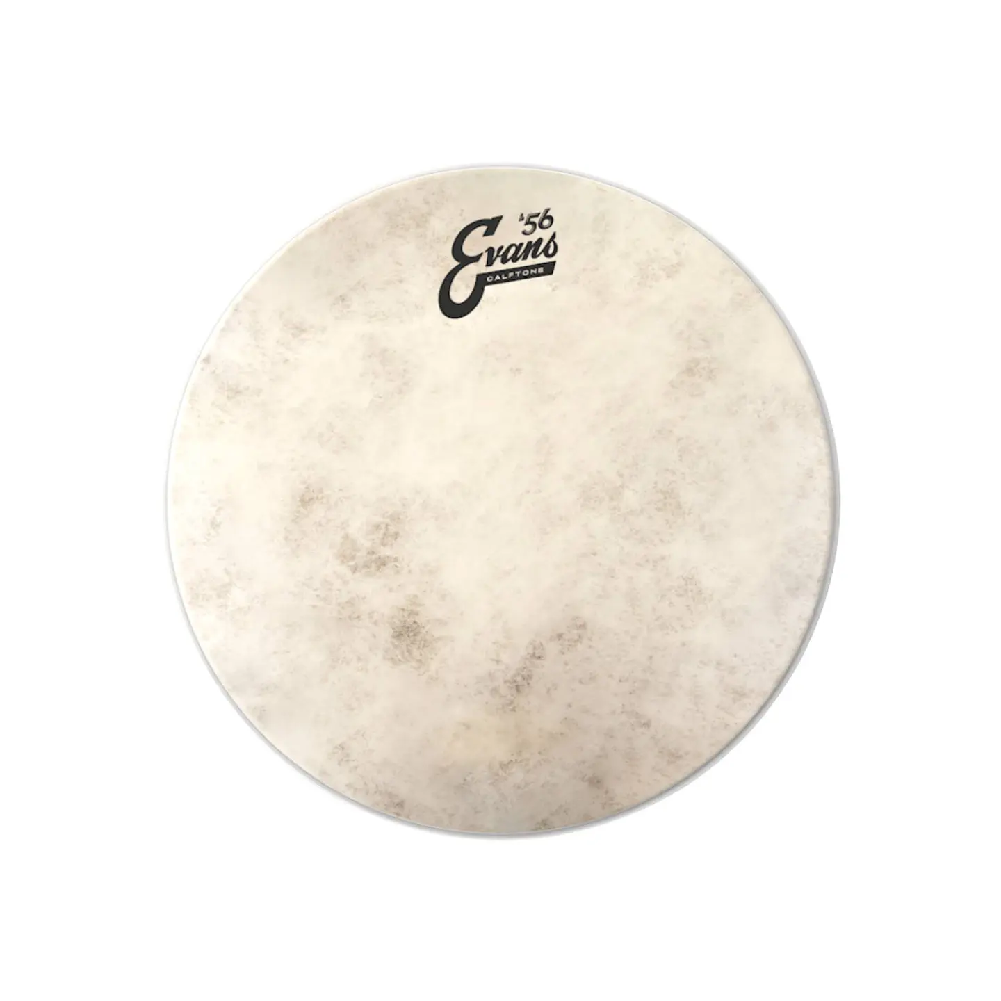 Parche Bombo Evans Calftone '56 20 1