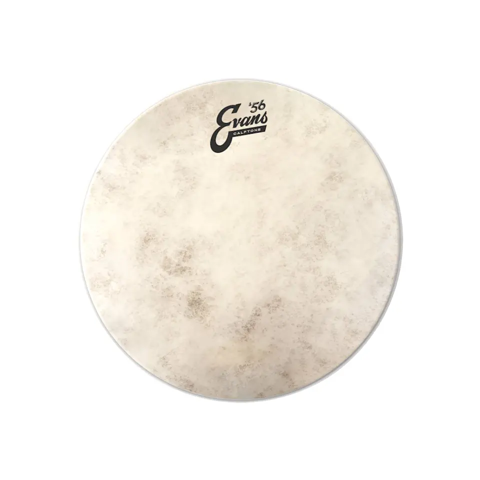 Parche Bombo Evans Calftone '56 20 1
