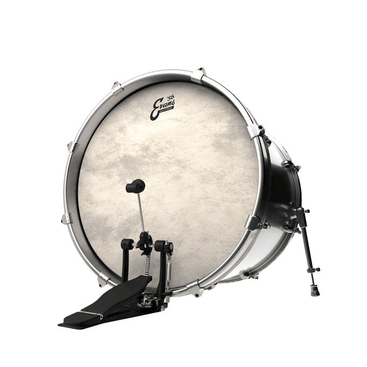 Parche Bombo Evans Calftone '56 20 2