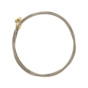 Cuerdas Guitarra Eléctrica Ernie Ball Nickel 2221 Regular Slinky