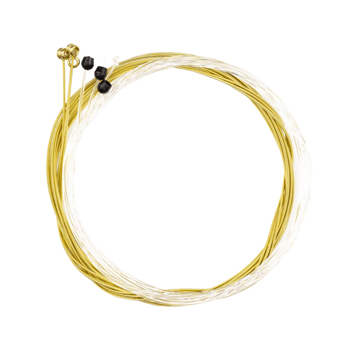 Cuerdas Metálicas Guitarra Ernie Ball Earthwood Bronze 2003 Medium Light 2