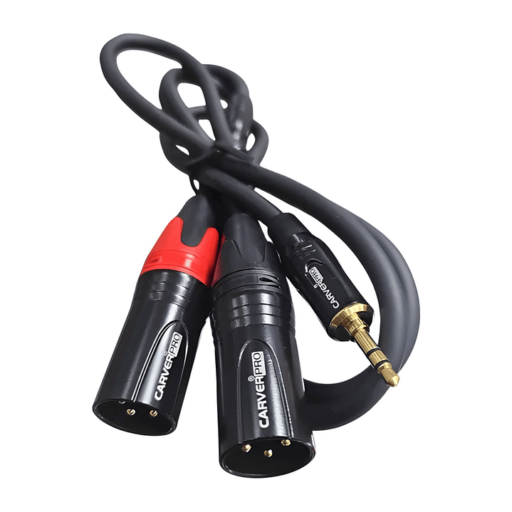 Cable Adaptador en Y Carver Pro Mini Plug 3.5mm Estéreo a 2 XLR Macho 1 m CCA-467 1