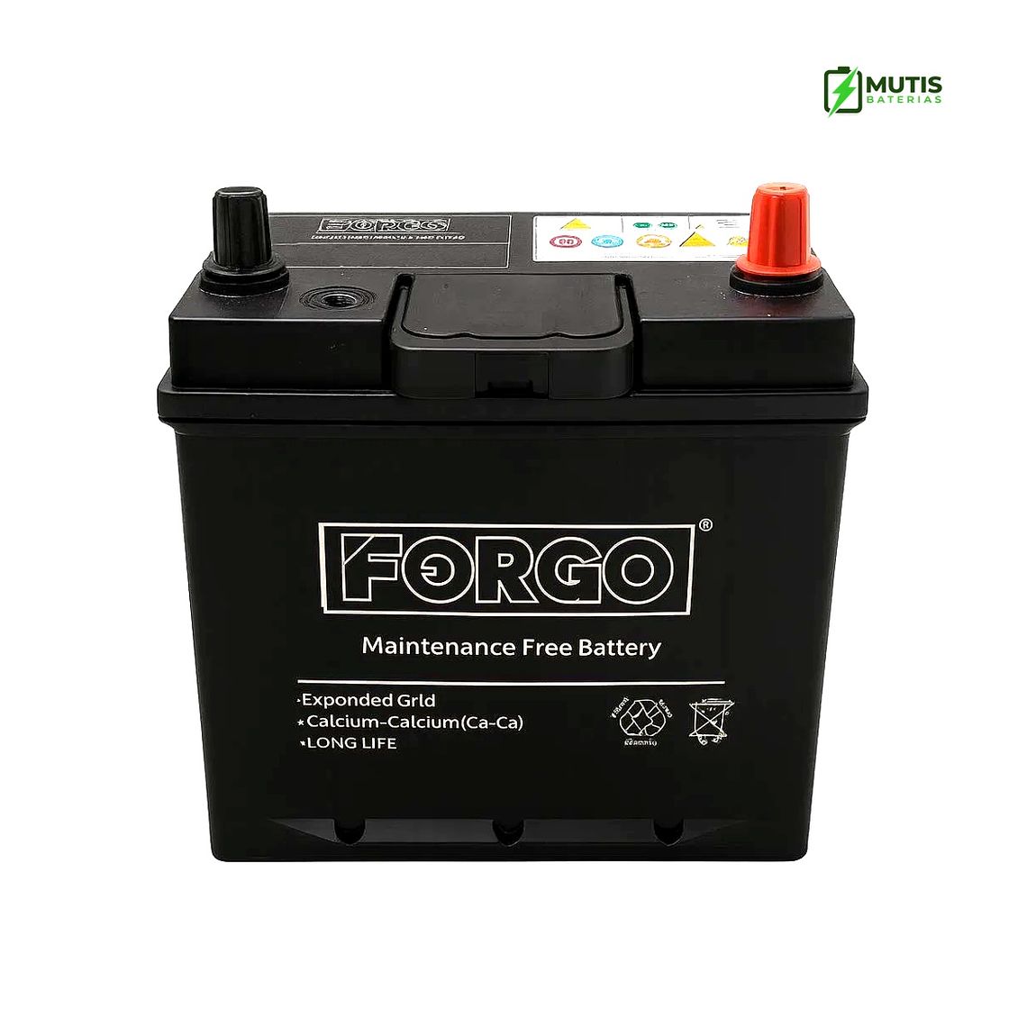 Batería 12v 36ah 410cca 40b19lhd Pestaña Positivo Derecho 1